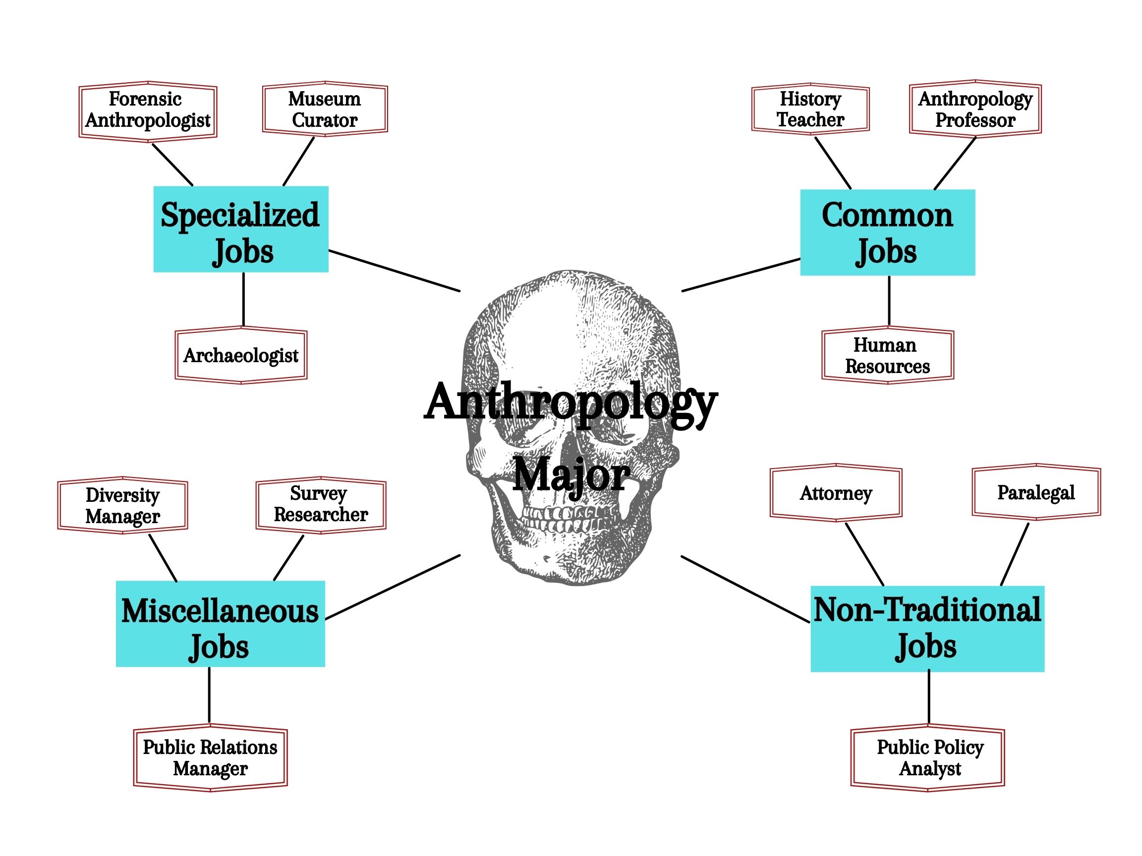 anthropology-major-1.jpg